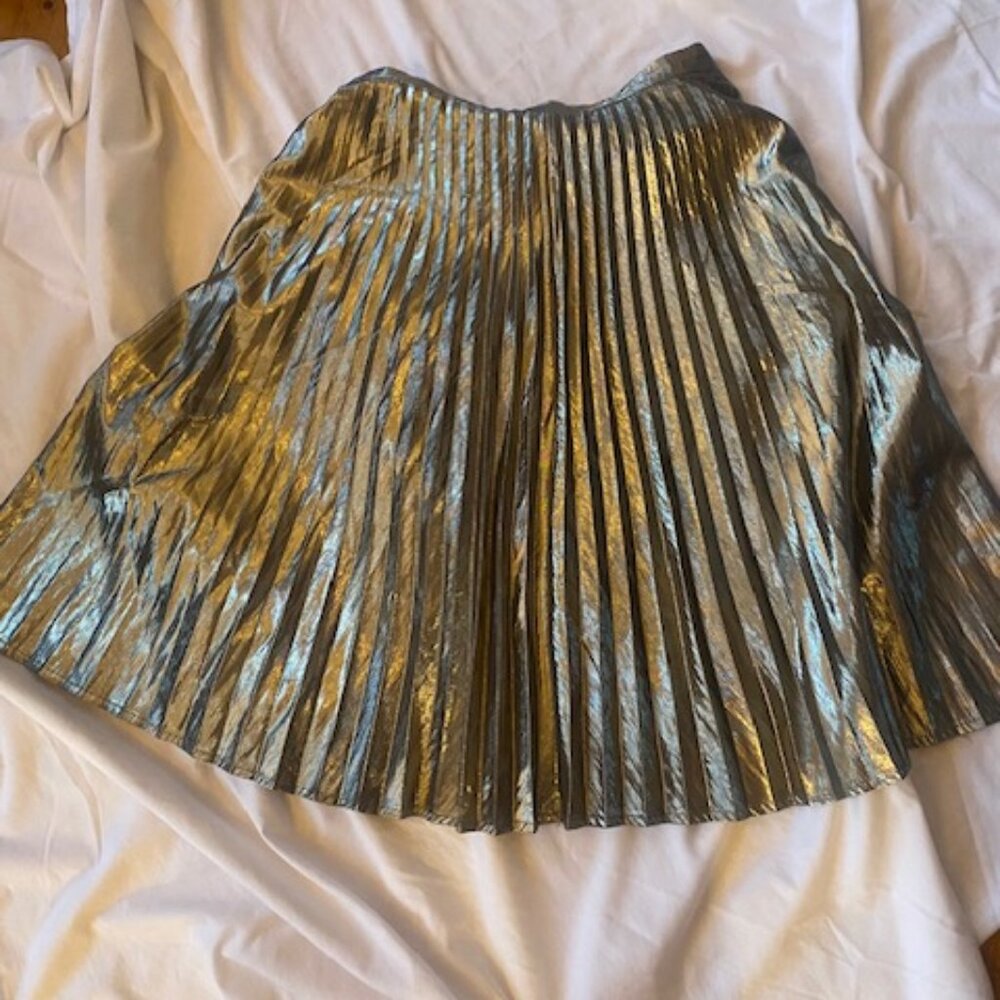 Gold Lame Skirt